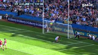 Top 5 GAA Hurling Goals  2013 [upl. by Pomfrey]