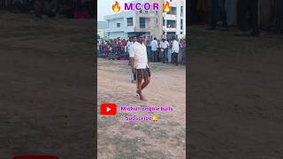 M C O R bullsmidhun ongole bulls subscribe🔔 youtube Triending videopowerful man [upl. by Nnarefinnej893]