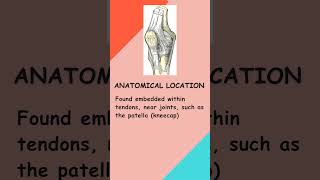 Sesamoid bones  NurseEd Mastery Series shorts shortvideo nursing anatomy physiology [upl. by Stamata]