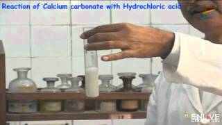 Reaction of Calcium carbonate with Hydrochloric acid [upl. by Lilia]