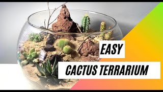 How to make a Cactus Terrarium [upl. by Gerard487]