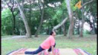 Hatha Yoga Video Tutorial  3 Surya Namaskaram [upl. by Canica]