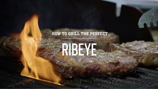 How To Grill the Perfect Ribeye [upl. by Else]