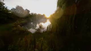 Wild Swimming Pool Bridge Farm [upl. by Gilchrist]