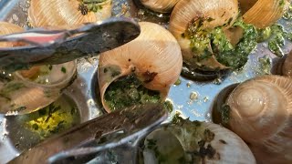 ESCARGOTS DE BOURGOGNE  BURGUNDY SNAILS VIDEO 263 [upl. by Ri]