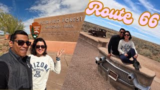 ROUTE 66 Petrified Forest NATIONAL PARK [upl. by Nodnil]