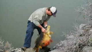 Idaho state record fish [upl. by Sicular]