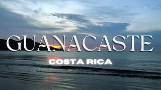 Guanacaste Costa Rica 2024  Natural Wonders in the Tropical Forrest [upl. by Haldes849]