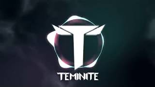 Teminite  Every Time I Look Into The Sky ft Jonah Hitchens [upl. by Brooks]