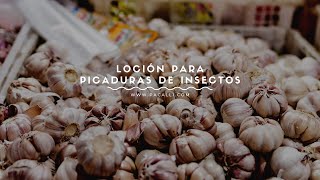 Loción para picaduras de insectos con ajo y guaco [upl. by Bilak]