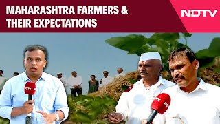 Maharashtra Elections 2024  Battle For Maharashtra Which Alliance Will Soybean Farmers Choose [upl. by Ydda]