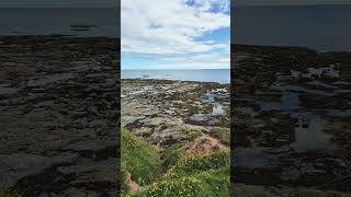 Berwick upon tweed cliff tops [upl. by Giah]