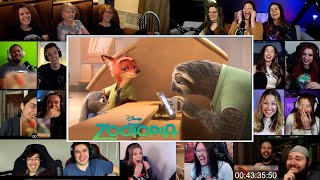 Zootopia Meet the Sloth  Zootopia 2016 Reaction Mashup [upl. by Rafaj981]