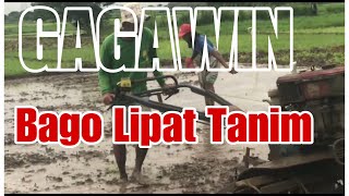 Paghahanda ng Taniman at Pagtatanim ng Palay  Your Path to a Bountiful Harvest [upl. by Pepi]