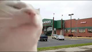 Cat Vibing to the Menards theme [upl. by Ruphina]