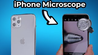 How to Use a Smartphone Microscope on an iPhone [upl. by Anelim]