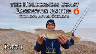 Sea Fishing UK 2024  Cod Fishing on the Holderness Coast what a start to the Winter Season [upl. by Cerveny]