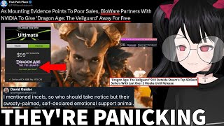 Woke Devs PANICK Over Low Sales While Writer Continues To Attack Gamers [upl. by Oiralih215]