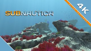 Subnautica quotSouthern Grassy Plateausquot  4K [upl. by Shelli]