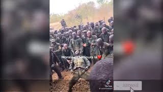 Compilation animation et danse militaire [upl. by Egiaf]