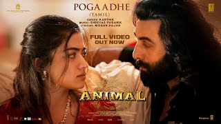 Full Video Pogaadhe  ANIMAL  Ranbir K Rashmika M  Karthik Shreyas P Mohan R  Sandeep Reddy V [upl. by Snook]