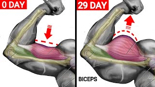 أقوي تمرين البايسبس لتوسيع البايسبس والذراع بسرعة  Wider Biceps Workout [upl. by Erdne]