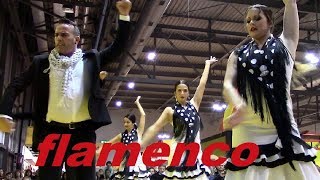 Flamenco Español 🇪🇸Artigiano in Fiera [upl. by Adnole]