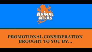 Animal Atlas Promotional Consideration Message 2024 [upl. by Meid]