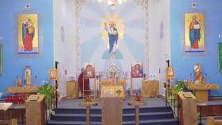 Divine Liturgy  Health and recovery of Metropolitan Lawrence [upl. by Eddra]