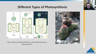 BIOL201 Ch83  Light Independent Reactions of Photosynthesis  OpenStax Biology [upl. by Rina]