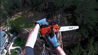 Echo CS2511T TreeWork Test [upl. by Cedar]