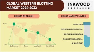 Western Blotting Market  Immunoblotting  Inkwood Research  2032 [upl. by Ylera]