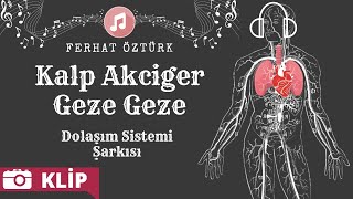 Dolaşım Sistemi Şarkısı  Kalp Akciğer Geze Geze [upl. by Lindemann400]