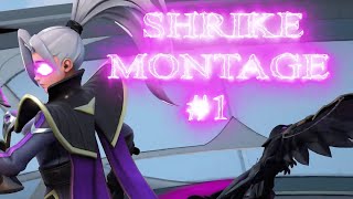 Shrike Montage 1 [upl. by Ainyt840]