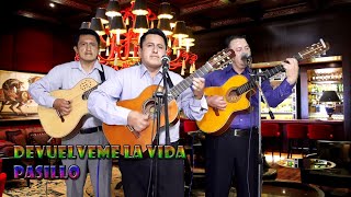 DEVUELVEME LA VIDA PASILLO GRUPO MUSICAL LOS MEDINA [upl. by Assadah]