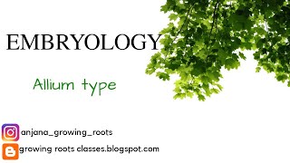 EMBRYOLOGY  Allium Type Embryosac Development Detailed Explanation In Malayalm  BSc Botany [upl. by Faline]