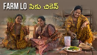 మన ల్యాండ్ లో సీకుల చికెన్😋 chicken youtube farmland subscribemychannel [upl. by Nosna327]