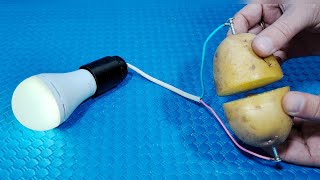 How to make free energy with potato and salt 100 free  Simple Tips [upl. by Aihsei]