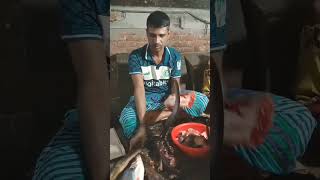 Big Pangas cutting fish cutting unlimited 420 shots vairalshort funny fishcutting comedy love [upl. by Ahsinev]