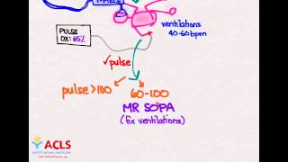 NRP Overview and Review by ACLS Certification Institute [upl. by Diehl]