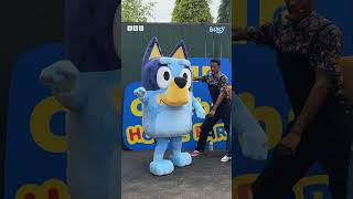 Floss like Bluey behind the scenes with CBeebies  CBeebies shorts [upl. by Akinak]