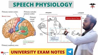 Speech physiology  Broca Area  Wernicke Area  CNS Physiology [upl. by Viridis]