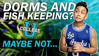 10 Considerations for Fish Keeping IN COLLEGE  Complete Guide to Aquariums in Dorms  Part 2 [upl. by Mata]