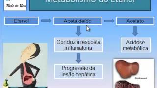 Metabolização do álcool parte 1 [upl. by Atiuqcir]