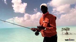 2 Phases of Casting  Capt Shawn Leadon  Bonefishing  Andros Island Bonefish Club [upl. by Corabel]