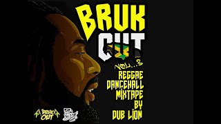 Dancehall Mix ¨Bruk Out¨ Vol 3 By Dub Lion [upl. by Yran]