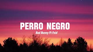 Bad bunny Ft Feid  Perro Negro LyricsLetra [upl. by Thetos]