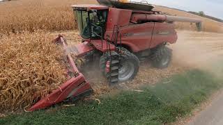 Neighborhood Rides in a CASE IH 7230 AxialFlow Combine  Start of Corn Field  Harvest 2020  5K [upl. by Ailadgim]