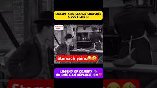 Comedy King Charlie Chaplin’s “A dog’s life😂Legend of comedy🎭So much stomach pains🤣shorts [upl. by Philcox]