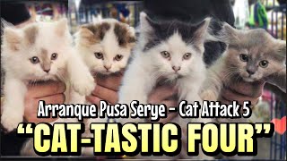 quotCATTASTIC FOURquot  Arranque Pusa Serye  Cat Attack 5  Oct 05 2023 [upl. by Nefets262]